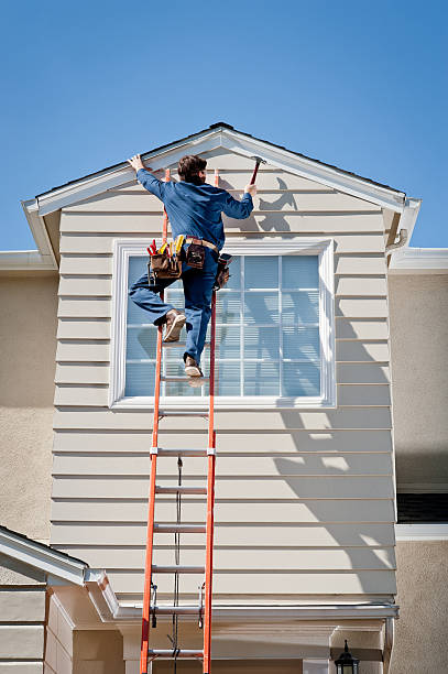 Best Vinyl Siding Installation  in Ashwaubenon, WI